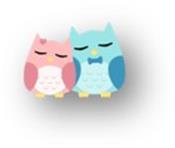 little owl